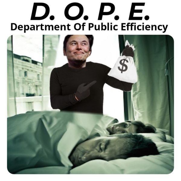 Trump and Musk Unleash New Public Efficiency Scam