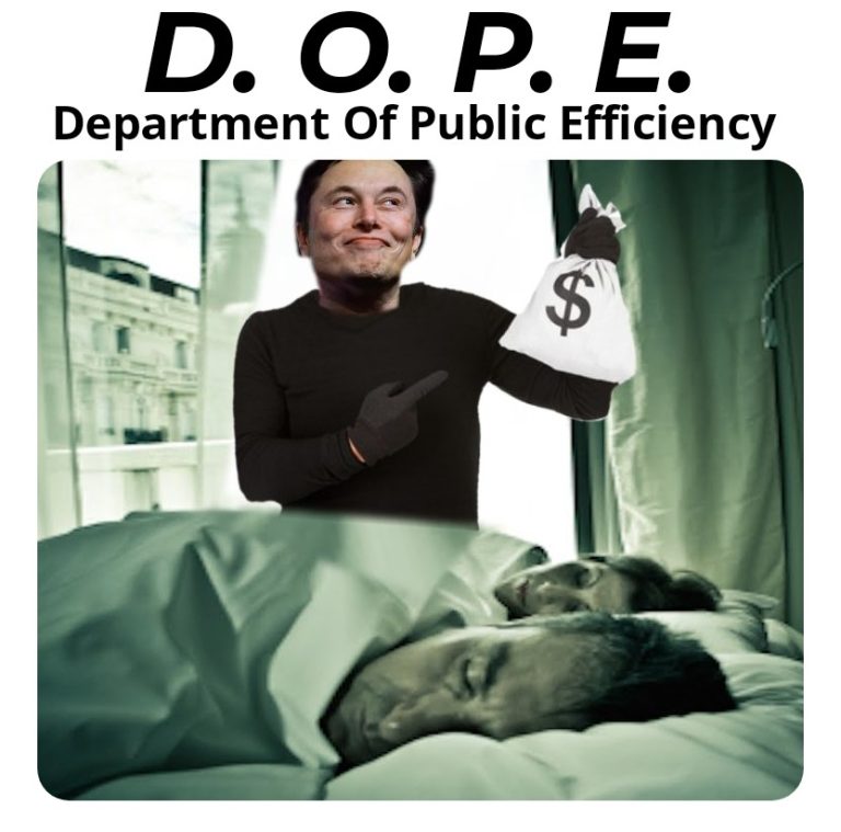 Trump and Musk Unleash New Public Efficiency Scam